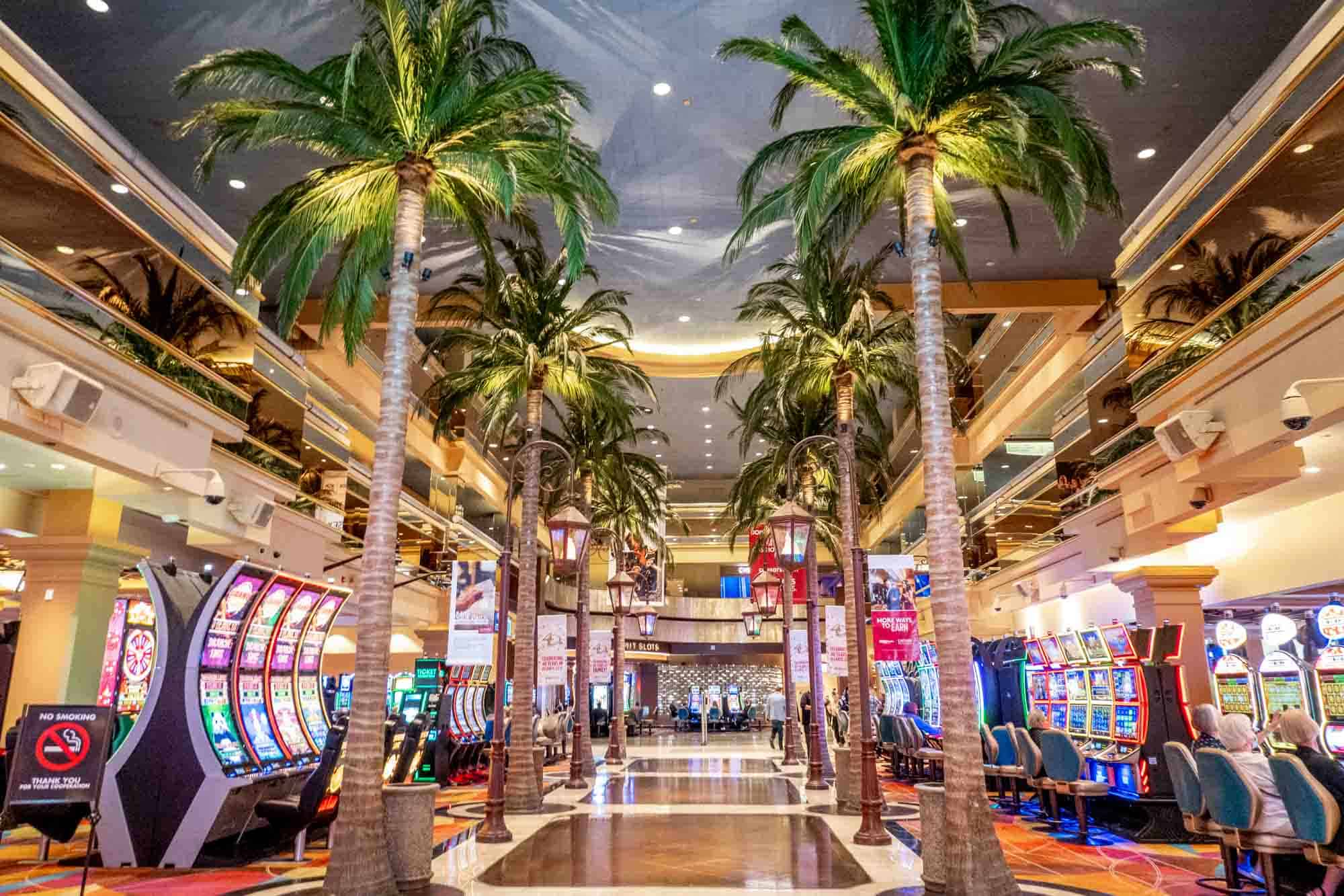 Mrgamb 250₺ Freebet Çekilişi